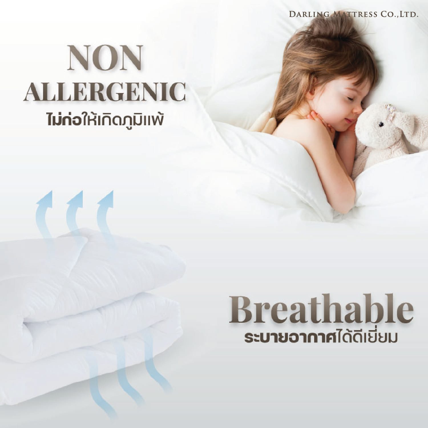 ไส้ผ้าห่มนวม DARLING MATTRESS รุ่นขนห่านเทียม ไซส์ 3.5 ฟุต 60X80 นิ้ว_1